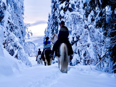 Winter/Spring Horseback Riding Tour in Skammestein near Jotunheimen