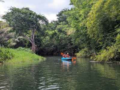 Descente de la rivière Moustique en canoë en Guadeloupe depuis Sainte-Rose