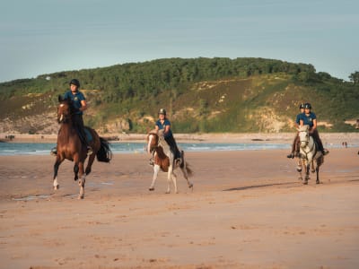 Horseback Riding on the Beach between the Caps d'Erquy and Fréhel, Brittany