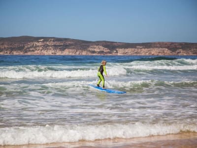 Surfing Lesson in Plettenberg Bay