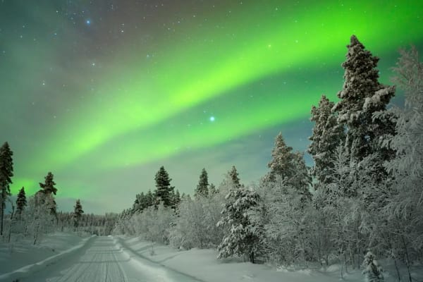 Chasse aux aurores boréales à Levi