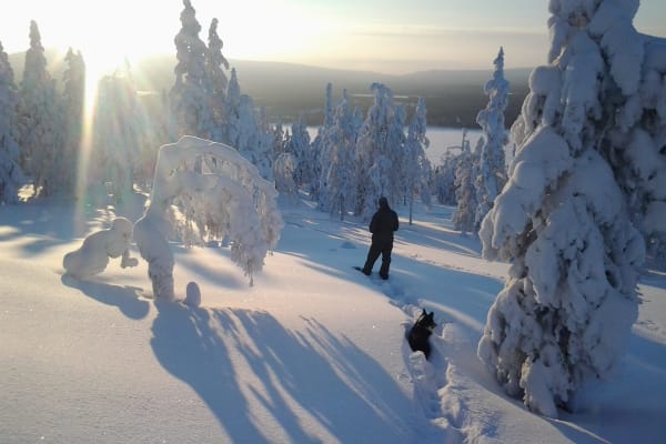 Raquettes à neige à Pyha