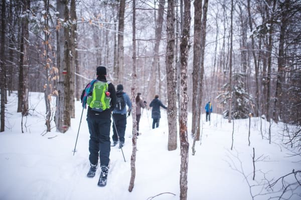 Ski de randonnée à Québec (ville)