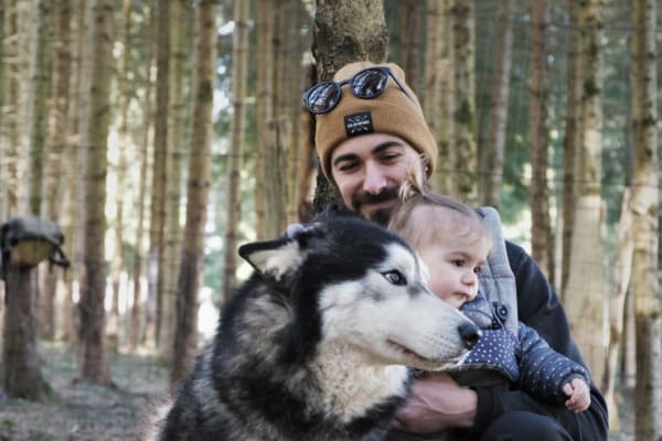 Chiens de traîneau à Peyragudes