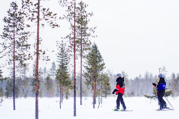 Raquettes à neige à Kemi