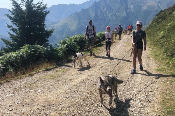 Chiens de traîneau à Argelès-Gazost