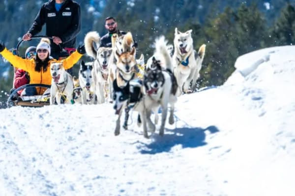 Hundeschlittentour von Grau Roig, Grandvalira, Andorra