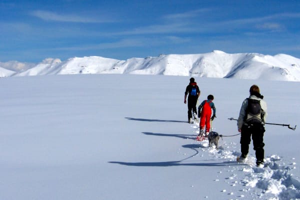 Schneeschuhwandern in Le Lioran