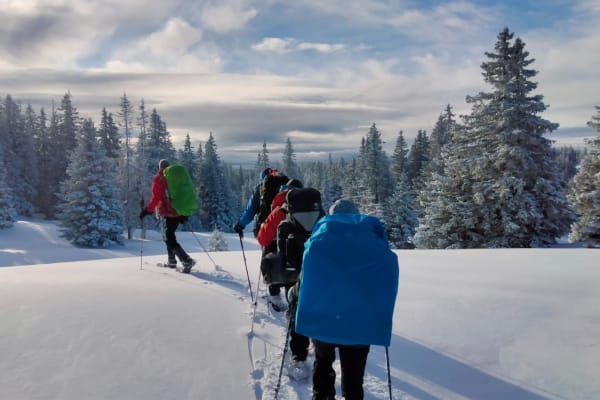 Schneeschuhwandern in Lac du Bourget, Aix les Bains