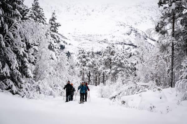 Schneeschuhwanderung mit Gondelfahrt und Lagerfeuer oberhalb von Voss