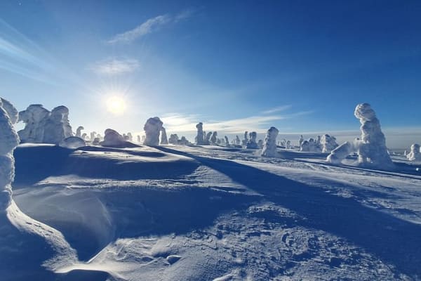 Schneeschuhwandern in Riisitunturi-Nationalpark