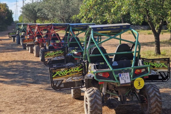 Quad Biking in Pula