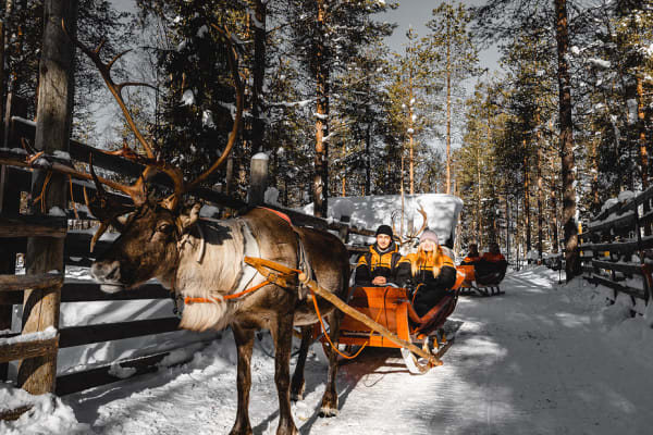 Reindeer Sledding in Saariselkä