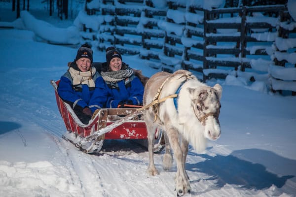 Nordlicht-Rentierschlittenfahrt in Saariselkä