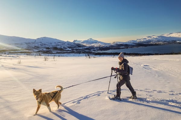 Schneeschuhwandern in Tromsø