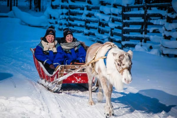 Reindeer Sledding in Ylläs