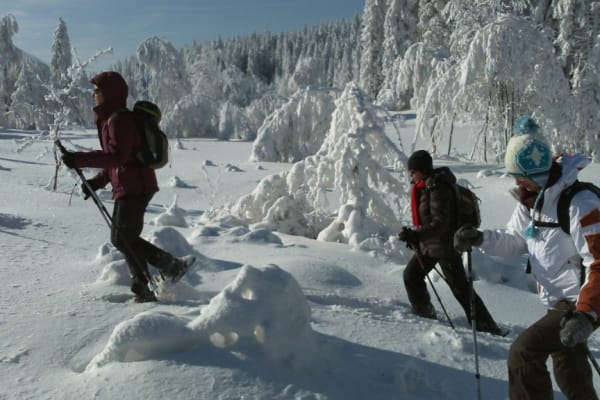 Schneeschuhwandern in Grenoble