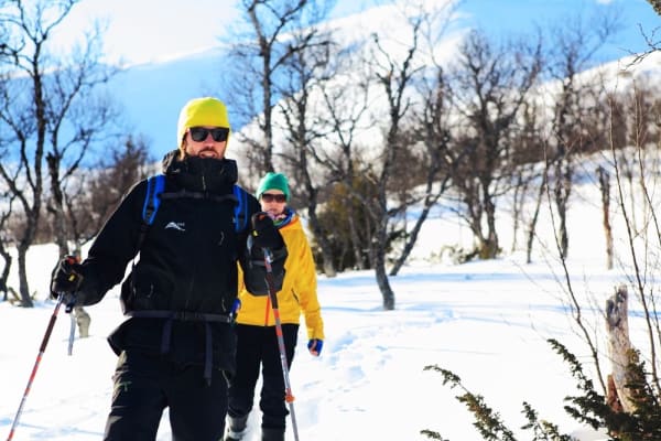 Excursión gastronómica con raquetas de nieve con salida desde Åre