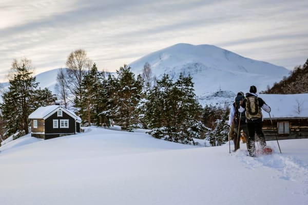 Schneeschuhwandern in Ålesund