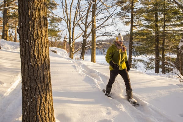 Location de raquettes dans le parc du Mont-St-Bruno, Montréal