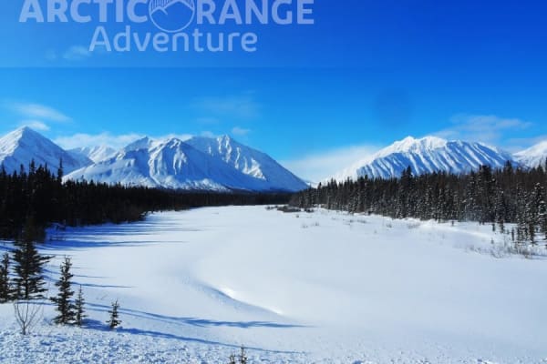 Raquettes à neige à Whitehorse, Yukon