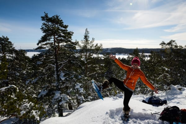 Excursion en raquettes au départ de Stockholm