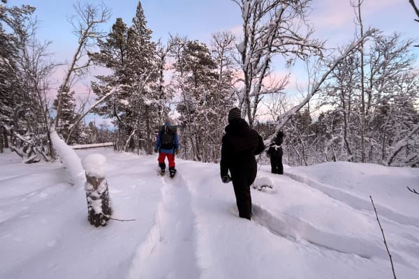 Schneeschuhwandern in Kiruna