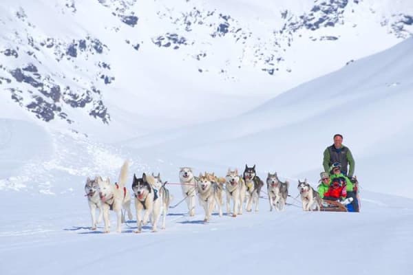 Intermediate Self-Drive Dog Sledding Excursion from Ekorrsele in Västerbotten