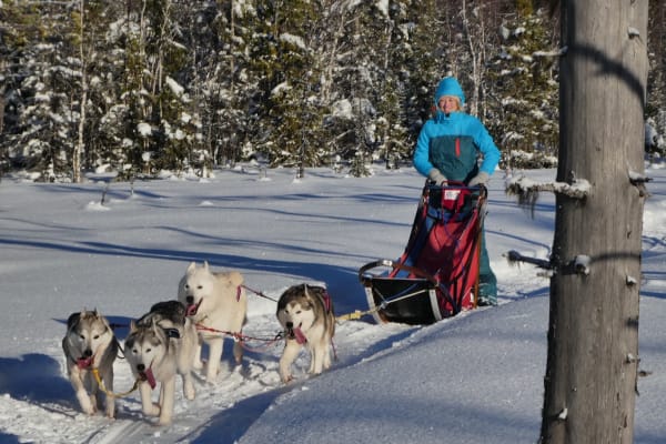 Expérience privée de 3 jours avec des huskys à partir de Vedjeön près de Strömsund dans le comté de Jämtland