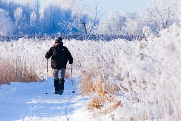 Location de raquettes dans le parc des Îles-de-Boucherville, Montréal
