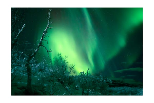 Chasse aux aurores boréales à Kiruna