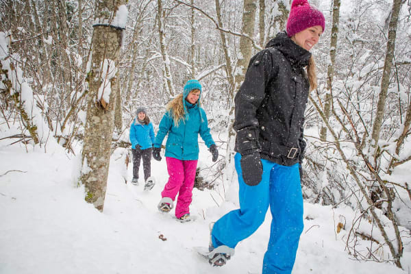 Raquettes à neige à Laurentides, Québec