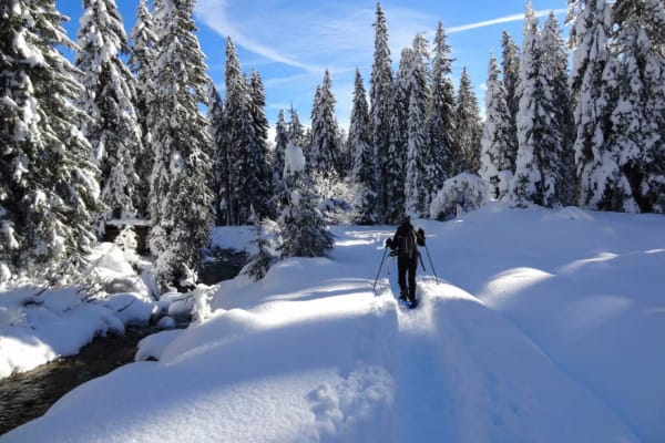Schneeschuhwandern in Madonna di Campiglio