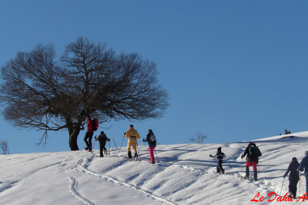 Schneeschuhwandern in Ariege