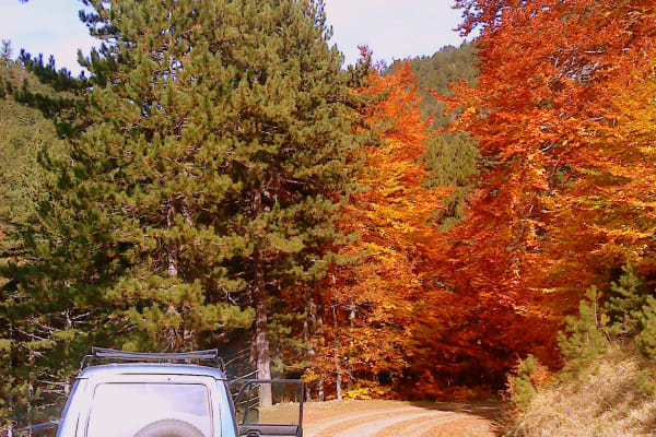 Off Road Driving Experience in Grevena