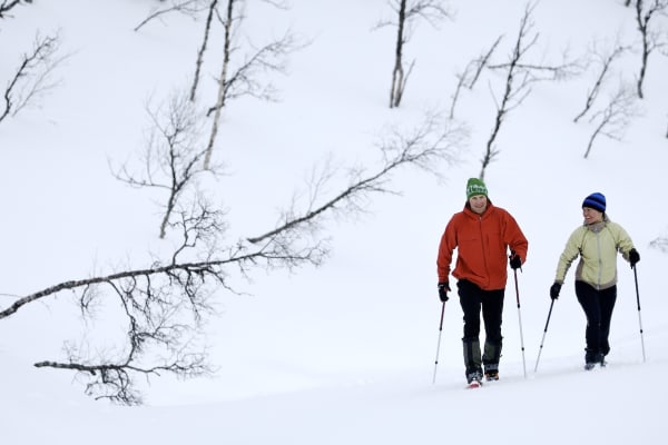 Excursión con raquetas de nieve por las montañas desde Åre