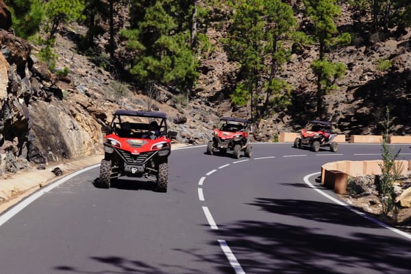 Buggy Excursion along the Southern Coast of Tenerife, from Costa Adeje