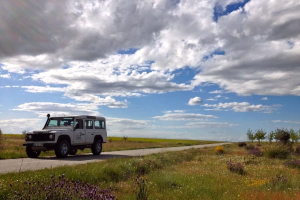 Off Road Driving Experience in Douro Natural Park