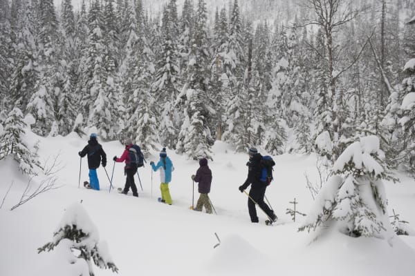 Schneeschuhwandern in Saguenay-Lac Saint-Jean
