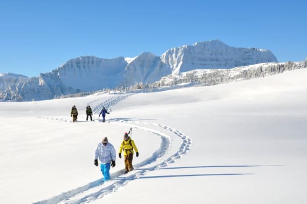 Raquettes à neige à Banff