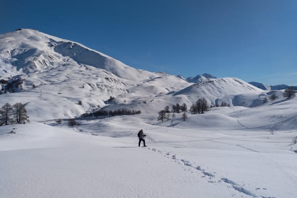 Schneeschuhwandern in Risoul, La Forêt Blanche