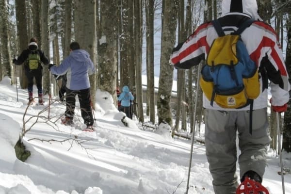 Schneeschuhwandern in Vogesen