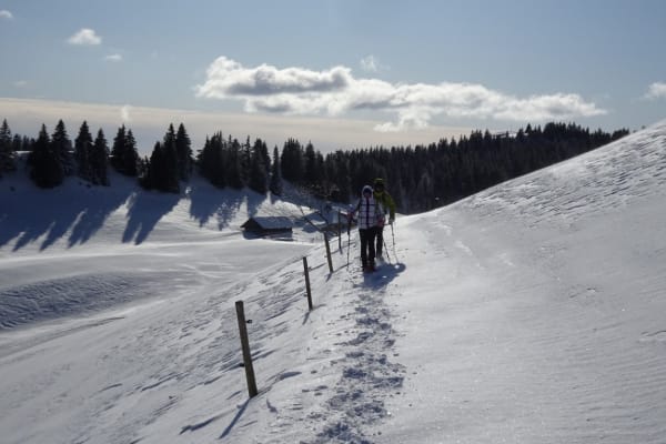 Schneeschuhwandern in Saint Jean d'Aulps, Portes du Soleil