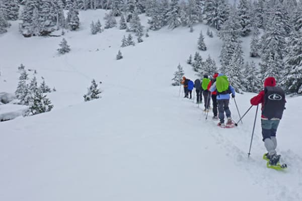 Schneeschuhwandern in Sierra de Guadarrama, Madrid