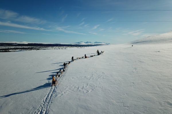 Campingausflug mit Übernachtung und Hundeschlittenfahrt in Engerdal bei Røros