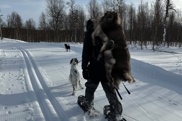 Schneeschuhwandern in Klimpfjäll