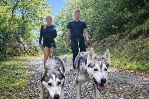 Hiking with Sled Dogs at Avajan, near Loudenvielle in the Pyrenees