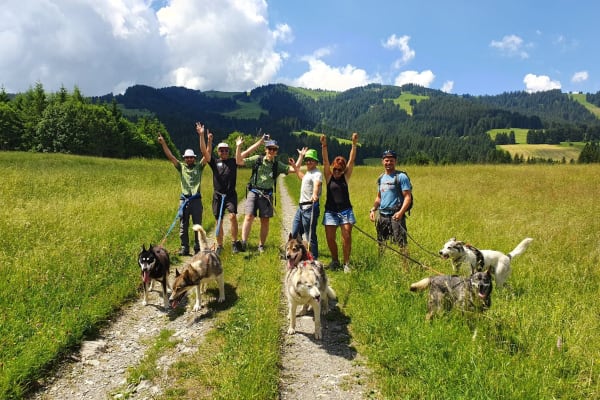 Cani-randonnée avec des chiens de traîneau à Praz-sur-Arly ou Megève