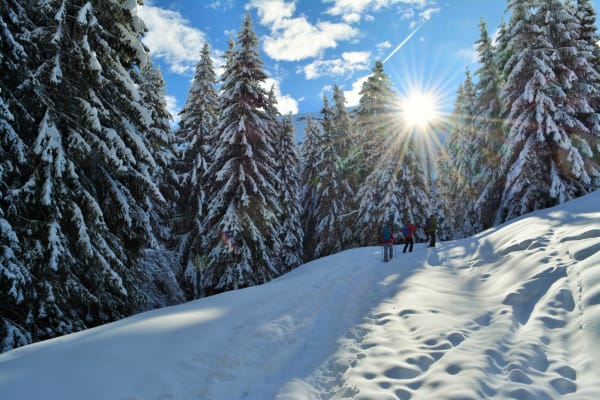 Schneeschuhwandern in Morzine, Portes du Soleil
