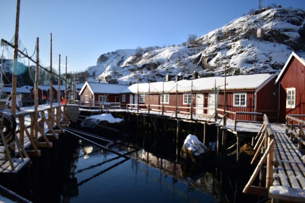 Privater Schneeschuh-Ausflug auf den Lofoten